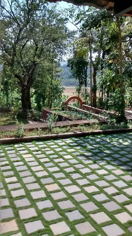 度假居 Palkadavu Warium Villa 玛纳多迪