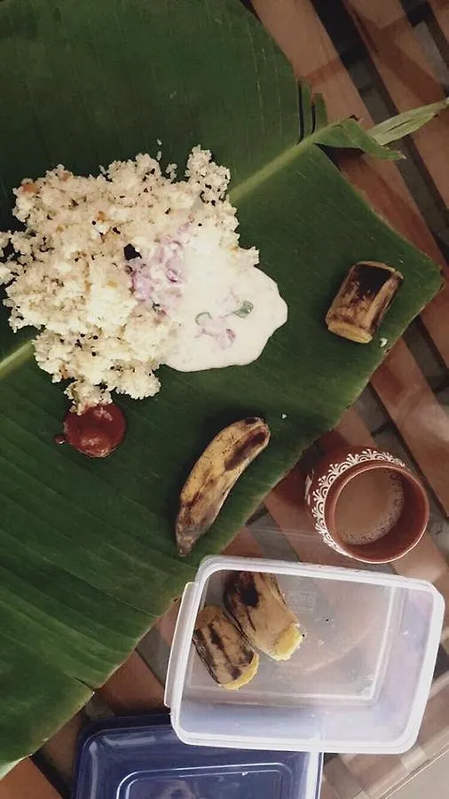 度假居 Palkadavu Warium Villa 玛纳多迪 印度